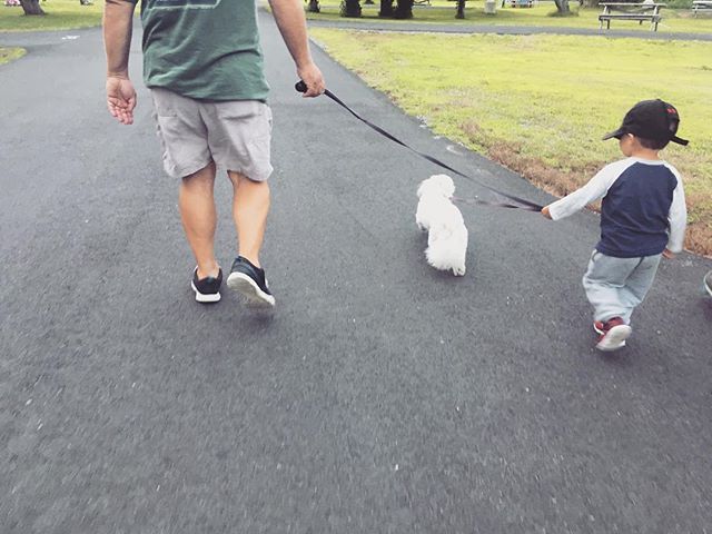 Walk your grandkids and your dog at the same time