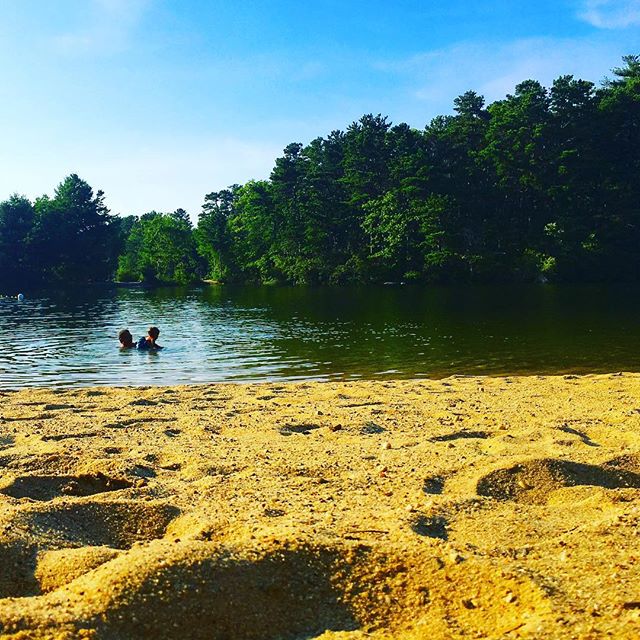 Scusset Beach is beautiful but Maple Park is JAWS free
🌈🦈🌈